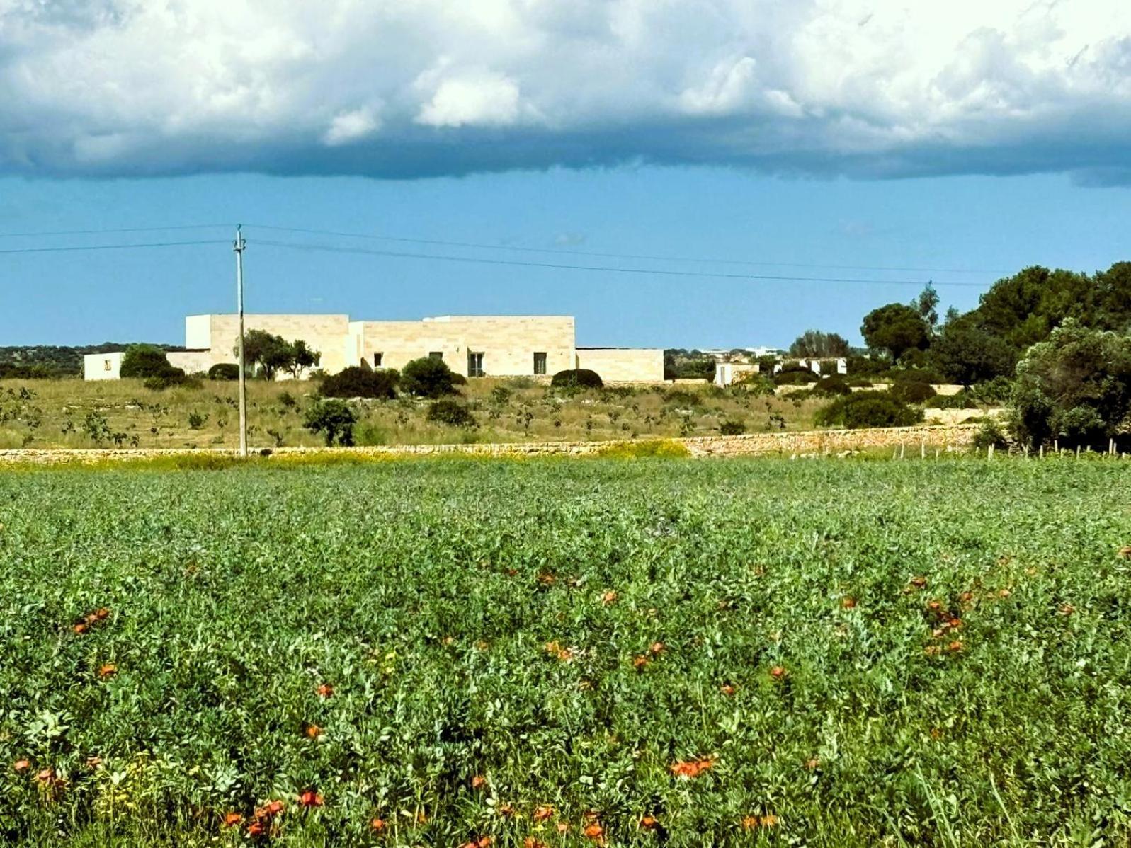 Ficomoro Farm San Pietro in Bevagna Exterior foto